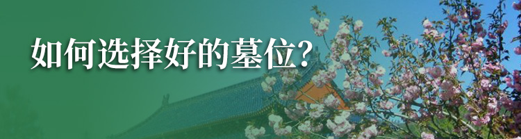 王庆坨公墓